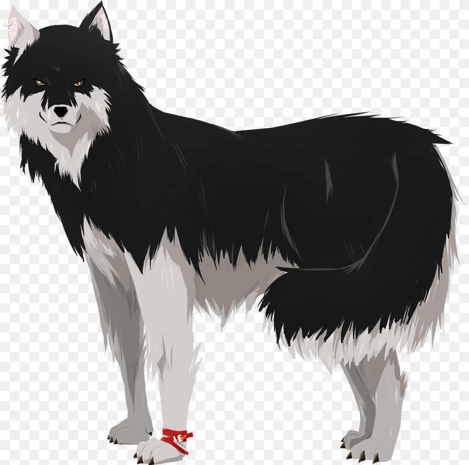 Drawing Wolves Husky Wolf, Animal, Mammal, Cat, Pet Png