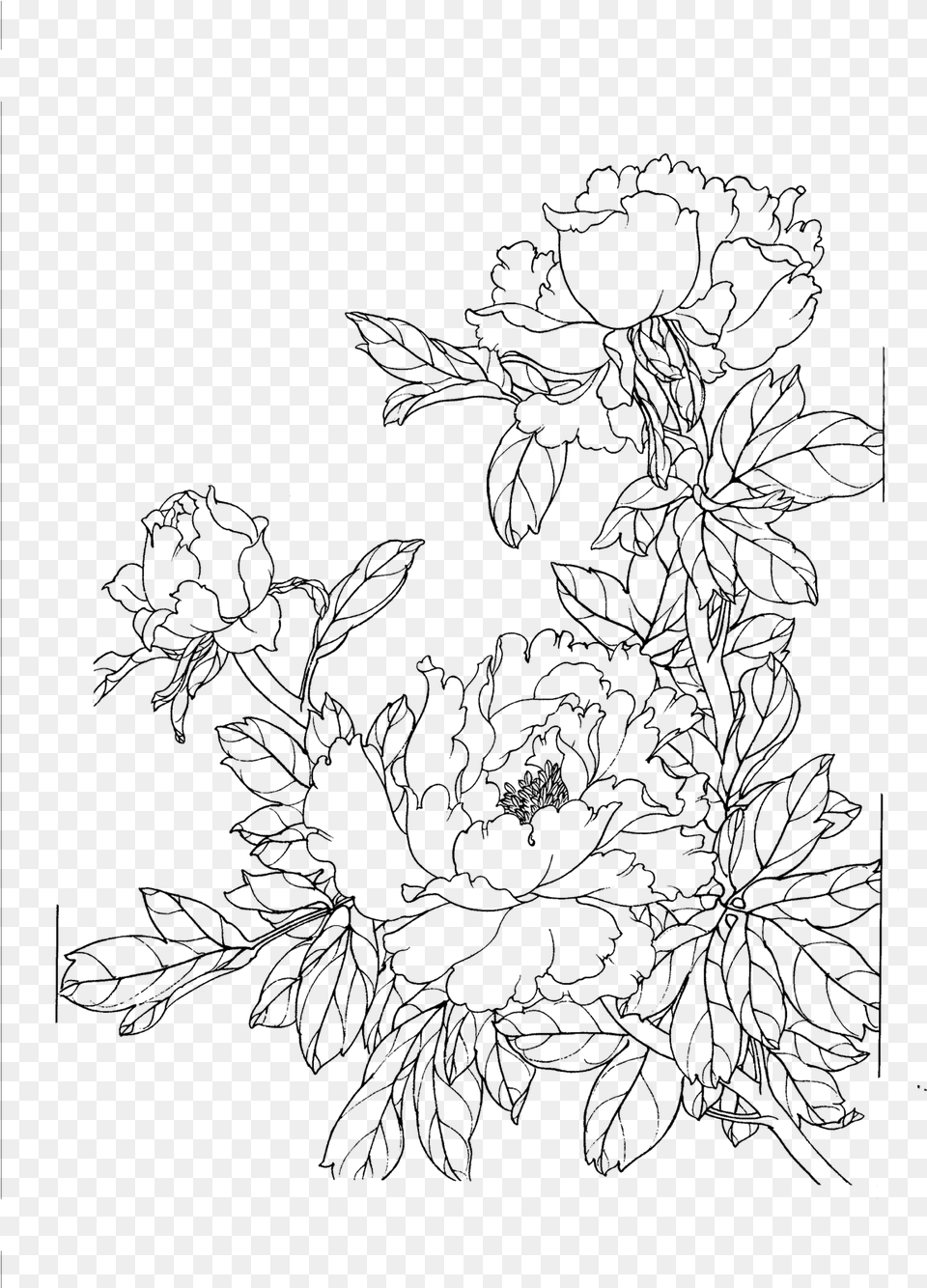 Drawings Of Chinese Flowers, Gray Free Png