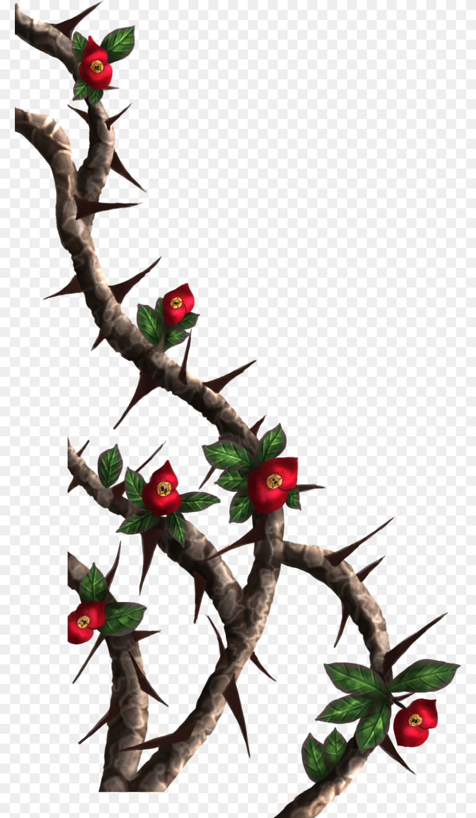 Drawings Of Roses With Vines And Thorns Crown Painted, Tree, Ikebana, Rose, Sprout Free Png