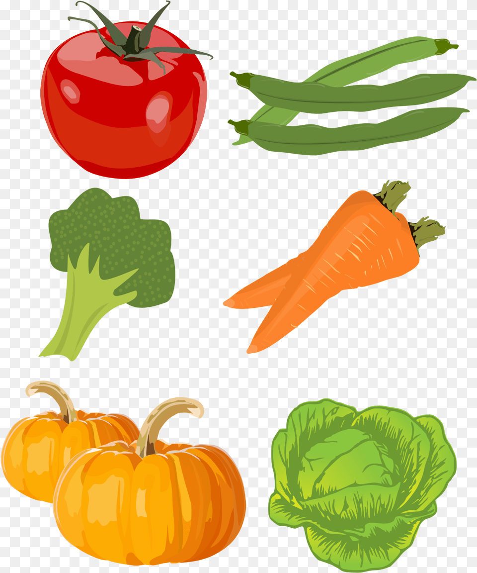 Drawings Of Vegetables Drawings Of Vegetables, Food, Produce, Carrot, Plant Png Image