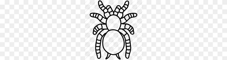 Drawn Arachnid Creepy Spider, Home Decor, Pattern, Art Png
