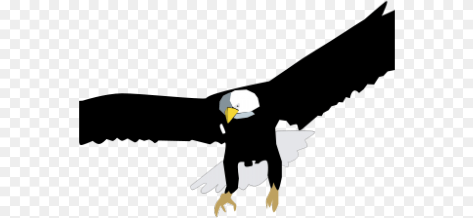 Drawn Bald Eagle Silhouette White Bald Eagle Vector, Animal, Bird, Bald Eagle, Baby Free Png Download