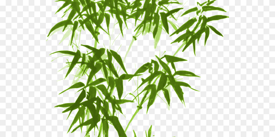 Drawn Bamboo Green Bamboo Chinese Bamboo Ink Painting, Leaf, Plant, Tree, Grass Free Transparent Png