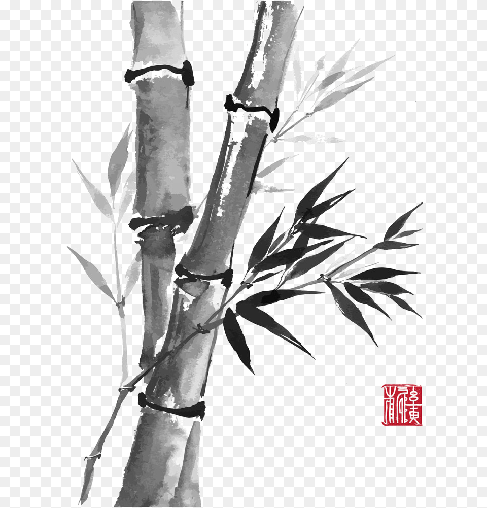 Drawn Bamboo Kawayan Chinese Bamboo Drawing, Plant, Tree, Person Free Transparent Png