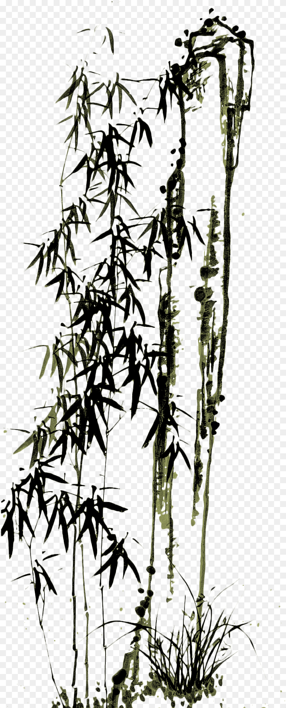 Drawn Bamboo Kawayan Chinese Painting Bamboo, Ice, Nature, Outdoors, Plant Free Png