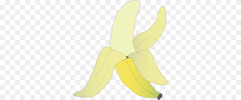 Drawn Banana Peeled Banana Zingiberales, Food, Fruit, Plant, Produce Free Png Download