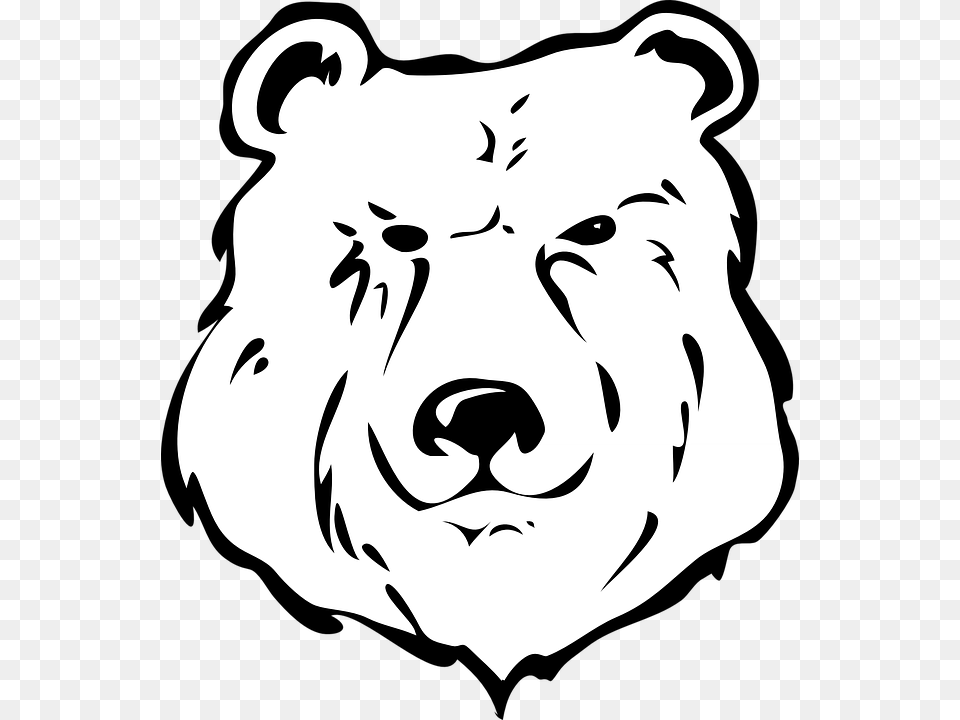 Drawn Bear Traceable, Stencil, Baby, Person, Face Png