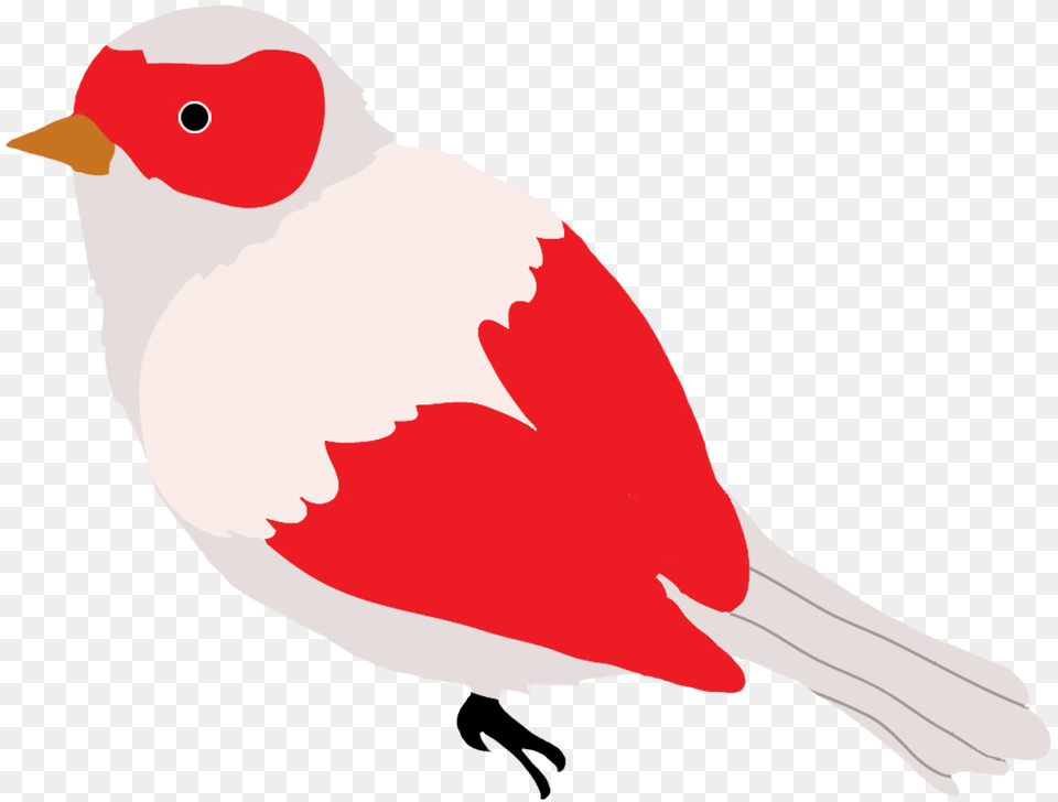 Drawn Bird Animal, Finch, Fish, Sea Life Free Transparent Png