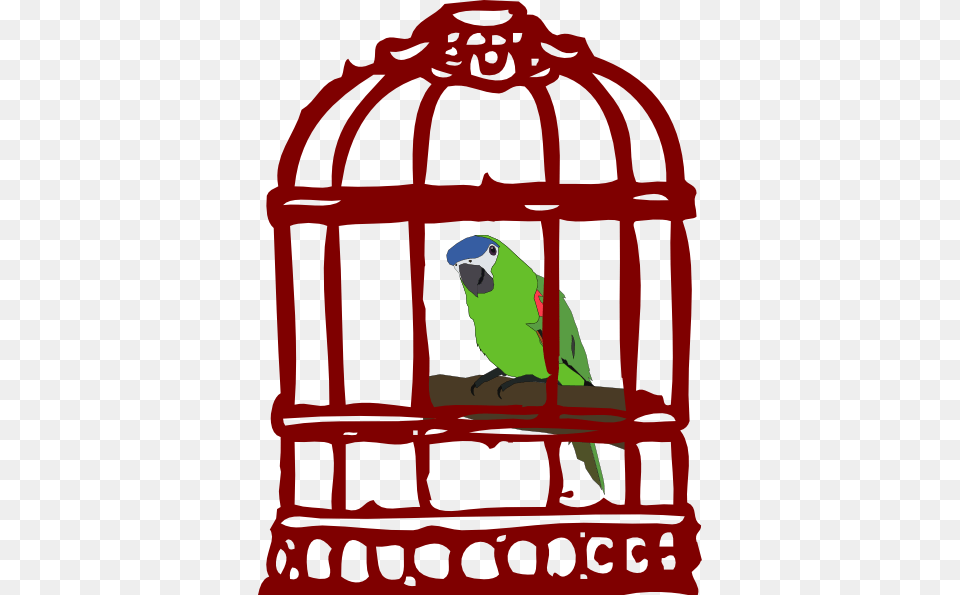 Drawn Birdcage Anatomical, Animal, Bird, Parakeet, Parrot Free Transparent Png