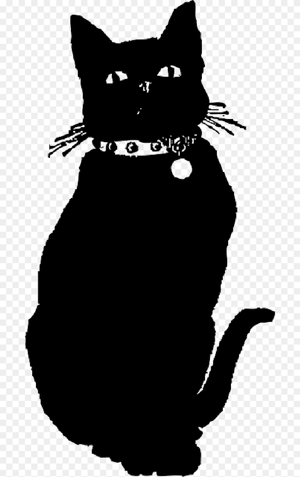 Drawn Black Cat Black Cat Gif, Animal, Mammal, Pet, Black Cat Free Png Download