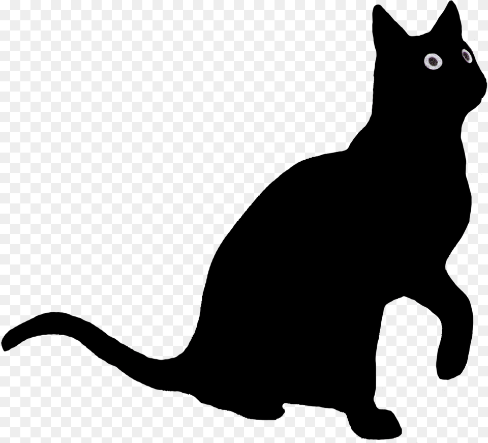 Drawn Black Cat Body Cat Silhouette Looking Up, Nature, Night, Outdoors Free Png Download