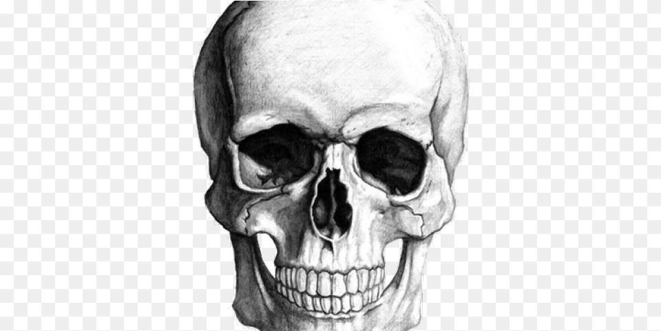Drawn Bones Background Skull Background Gif, Head, Person, Face Free Transparent Png