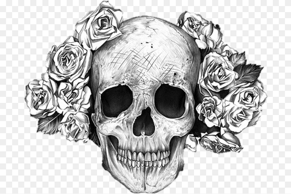 Drawn Bones Rose Skull, Art, Drawing, Person Free Transparent Png
