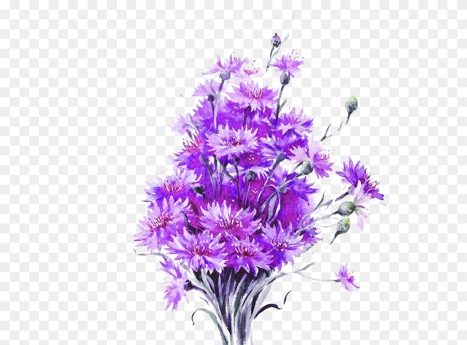 Drawn Bouquet Lavender Plant, Carnation, Flower, Purple, Flower Arrangement Png Image