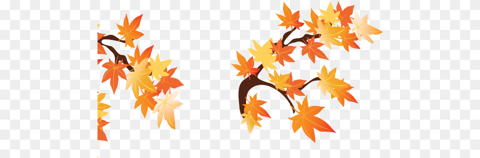 Drawn Branch Leaf Border Maple Leaf Borders Clipart, Plant, Tree, Person, Face Free Transparent Png