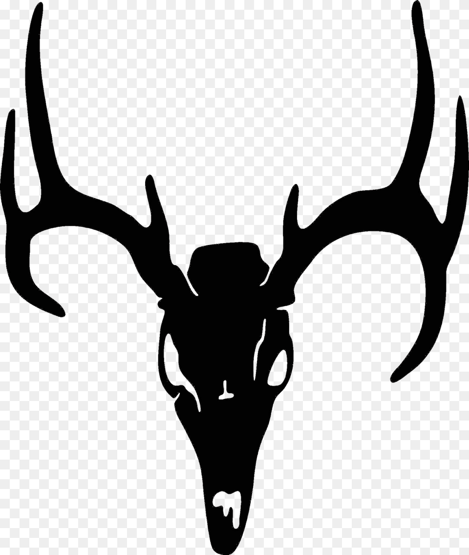 Drawn Buck Whitetail Deer Deer Skull, Antler, Animal, Mammal, Wildlife Free Transparent Png