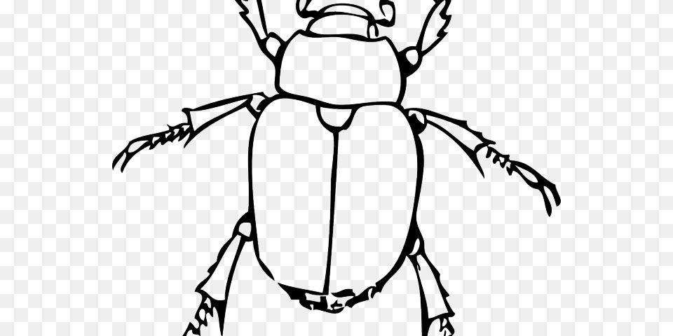 Drawn Bugs Black And White Line Drawing Of A Bug, Animal, Person, Dung Beetle, Insect Free Png