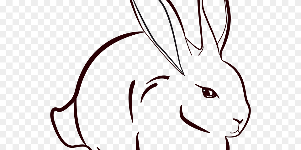 Drawn Bunny Khargosh Rabbit Line Art, Animal, Mammal Free Png