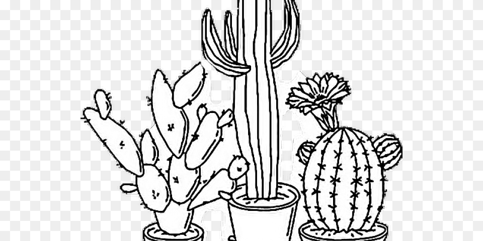 Drawn Cactus Tumblr Transparent Aesthetic Black And White, Plant, Person, Baby Free Png Download