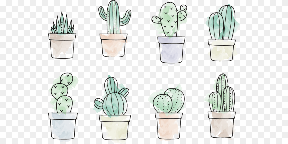 Drawn Cactus Vector Cactus Stickers, Plant, Baby, Person, Face Free Png Download