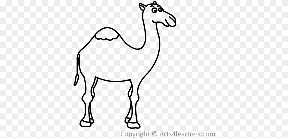 Drawn Camel Doodle Draw A Camel, Animal, Mammal Free Png Download