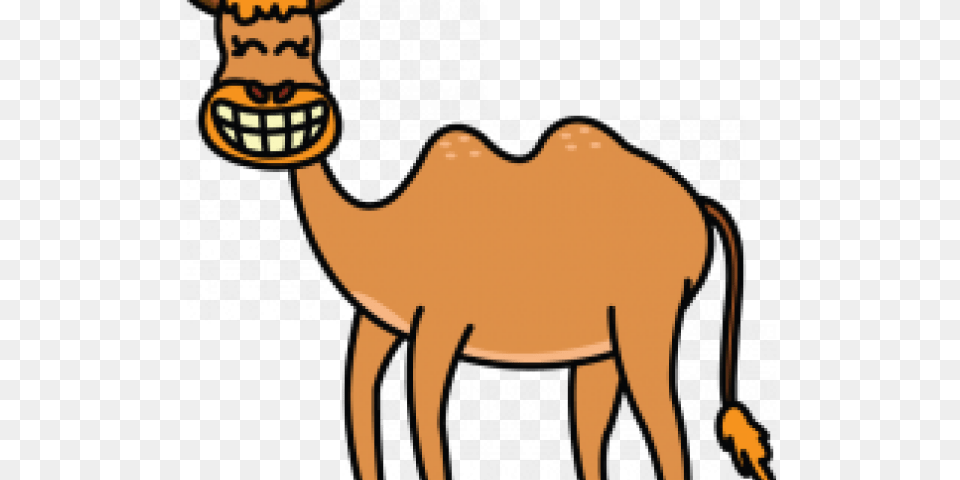 Drawn Camels Easy Easy Cartoon Step By Step Camel, Animal, Mammal, Person Free Png