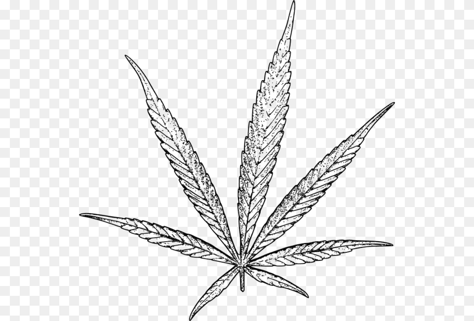 Drawn Cannabis Stoned Cannabis Drawing, Leaf, Plant, Weed Free Transparent Png