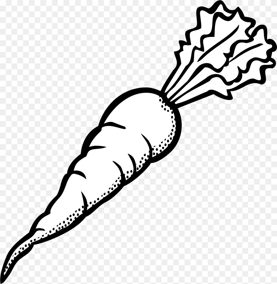 Drawn Carrot Vegetable Carrot Clipart Black And White, Food, Plant, Produce, Face Png Image