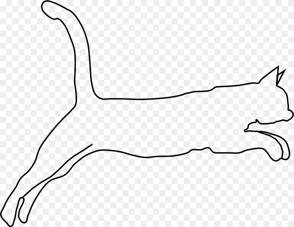 Drawn Cat Transparent Drawing, Gray Png