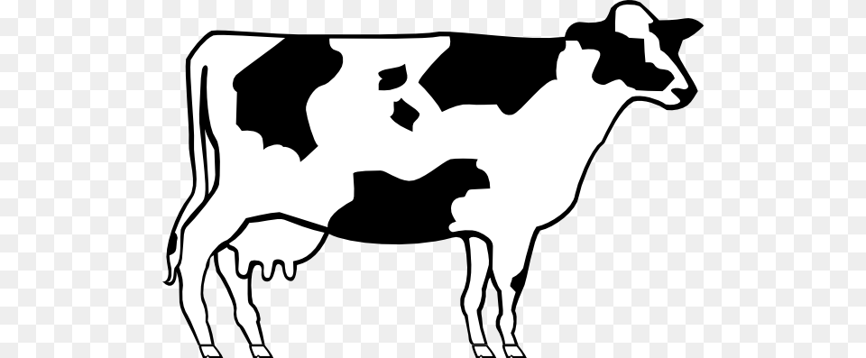 Drawn Cattle Simple, Animal, Cow, Dairy Cow, Livestock Png Image