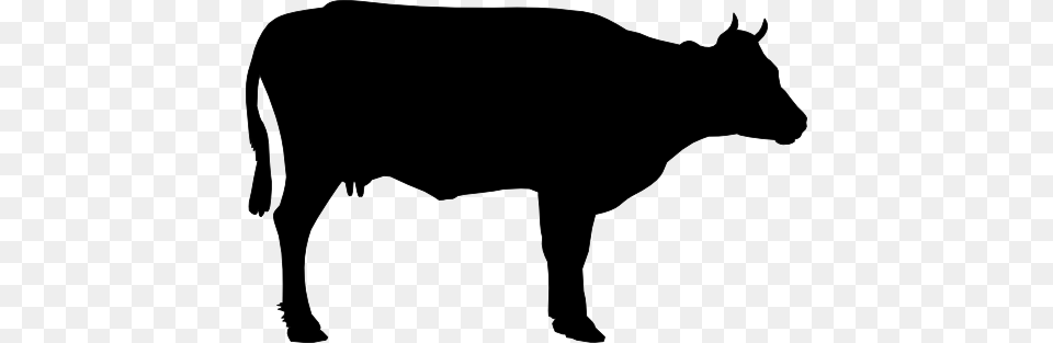 Drawn Cow Clip Art, Animal, Bull, Mammal, Cattle Free Png Download