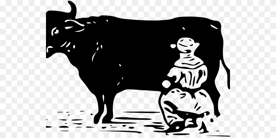 Drawn Cow Vector Dairy Cow, Gray Png