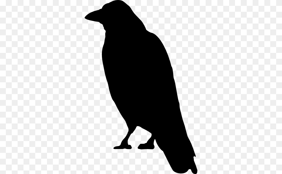 Drawn Crow Clip Art, Silhouette, Animal, Bird, Person Free Png Download