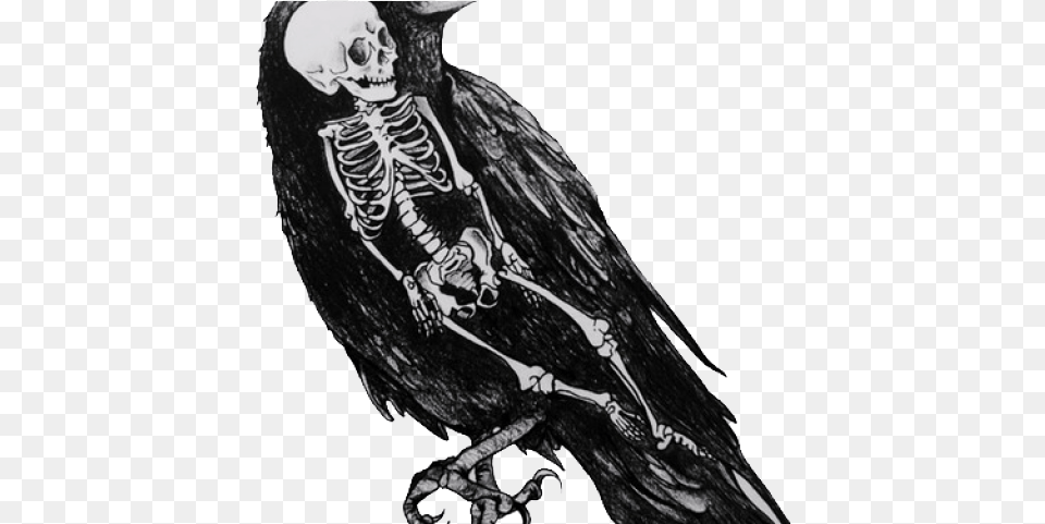 Drawn Crow Voodoo Bird Skeleton Drawing, Adult, Bride, Female, Person Png