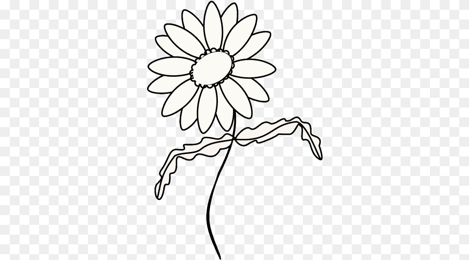 Drawn Daisy Black And White Safavieh Wall Mirror Mir4017a Chrysanthemum Mirror, Flower, Plant, Stencil, Petal Free Png Download