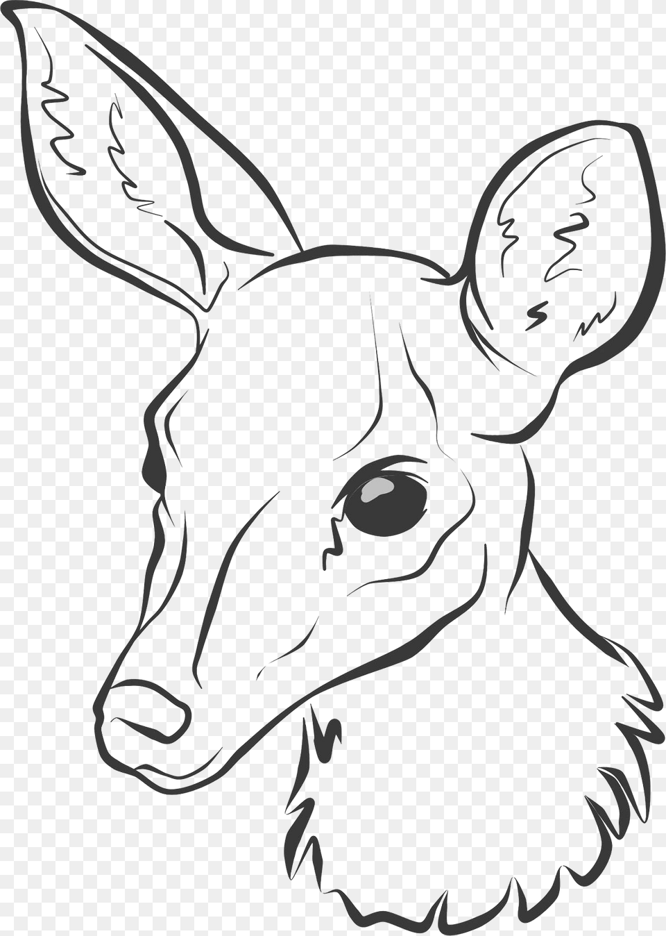 Drawn Deer Face Clipart, Animal, Mammal, Wildlife, Person Png Image
