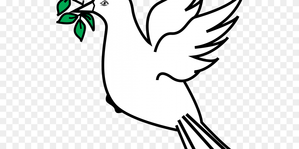 Drawn Dove Olive Branch Drawing, Stencil, Animal, Bird Free Png