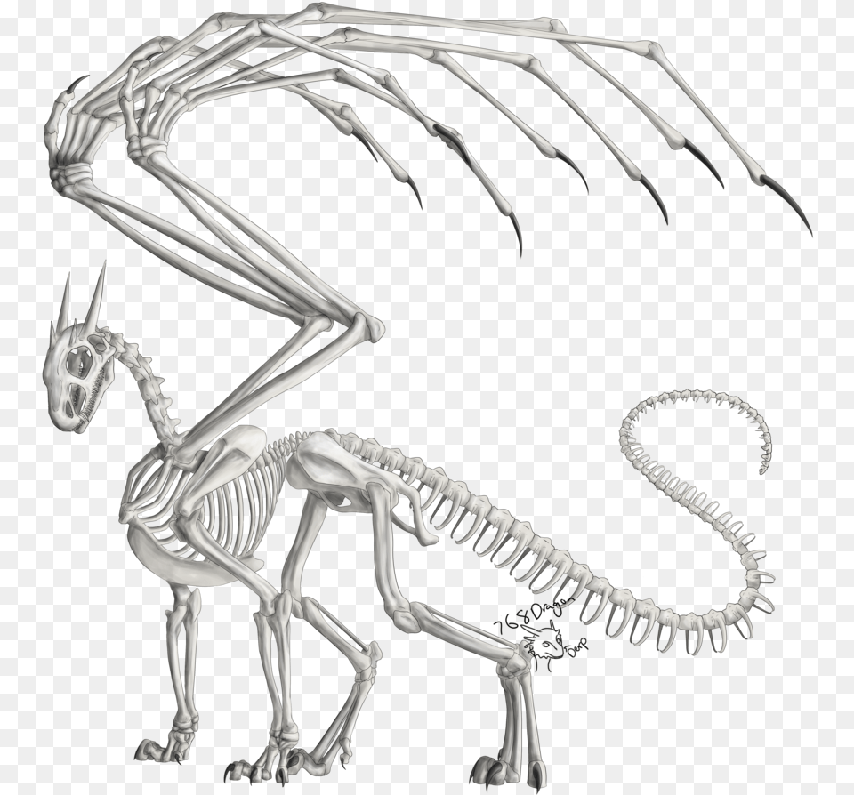 Drawn Dragon Anatomy Dragon Anatomy Skeleton, Animal, Antelope, Mammal, Wildlife Free Png Download