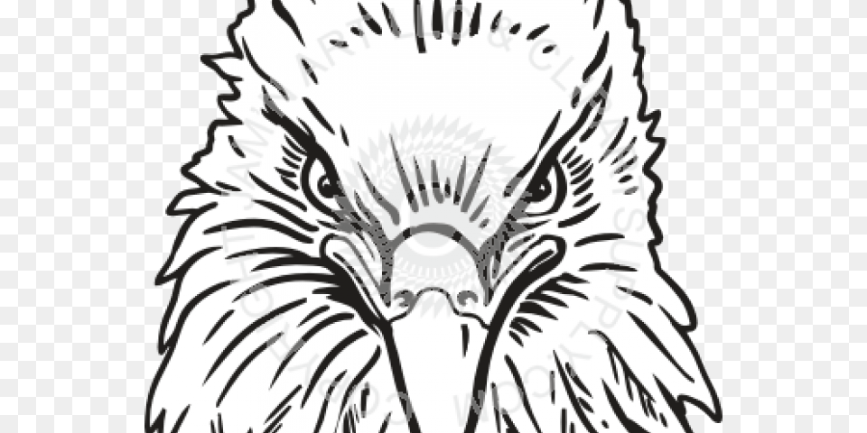 Drawn Eagle Head Eagle Head Front View, Animal, Beak, Bird, Person Free Png