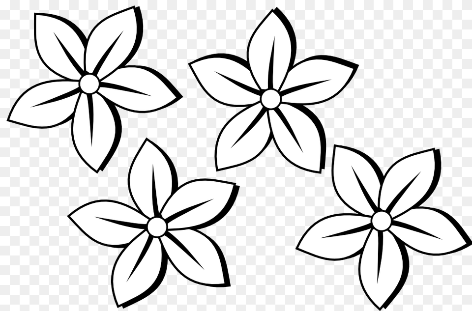 Drawn Elower Black And White, Art, Floral Design, Graphics, Pattern Free Png