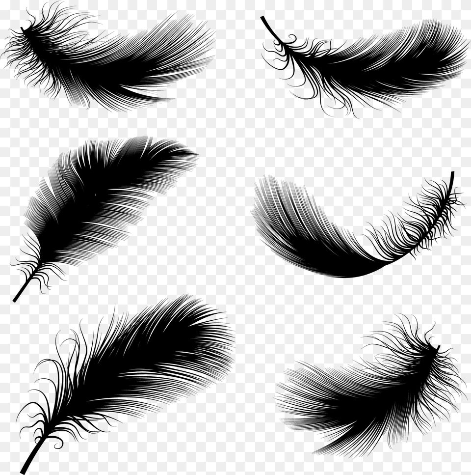 Drawn Eyelash Button Eye Black Feathers Vector, Gray Png