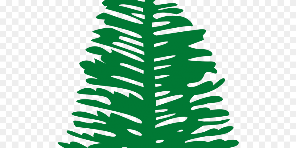 Drawn Fir Tree Norfolk Pine Norfolk Island Flag Tree, Leaf, Plant, Moss, Fern Free Png Download