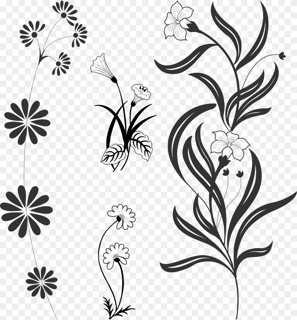 Drawn Flowers Clipart, Art, Floral Design, Graphics, Pattern Free Png Download