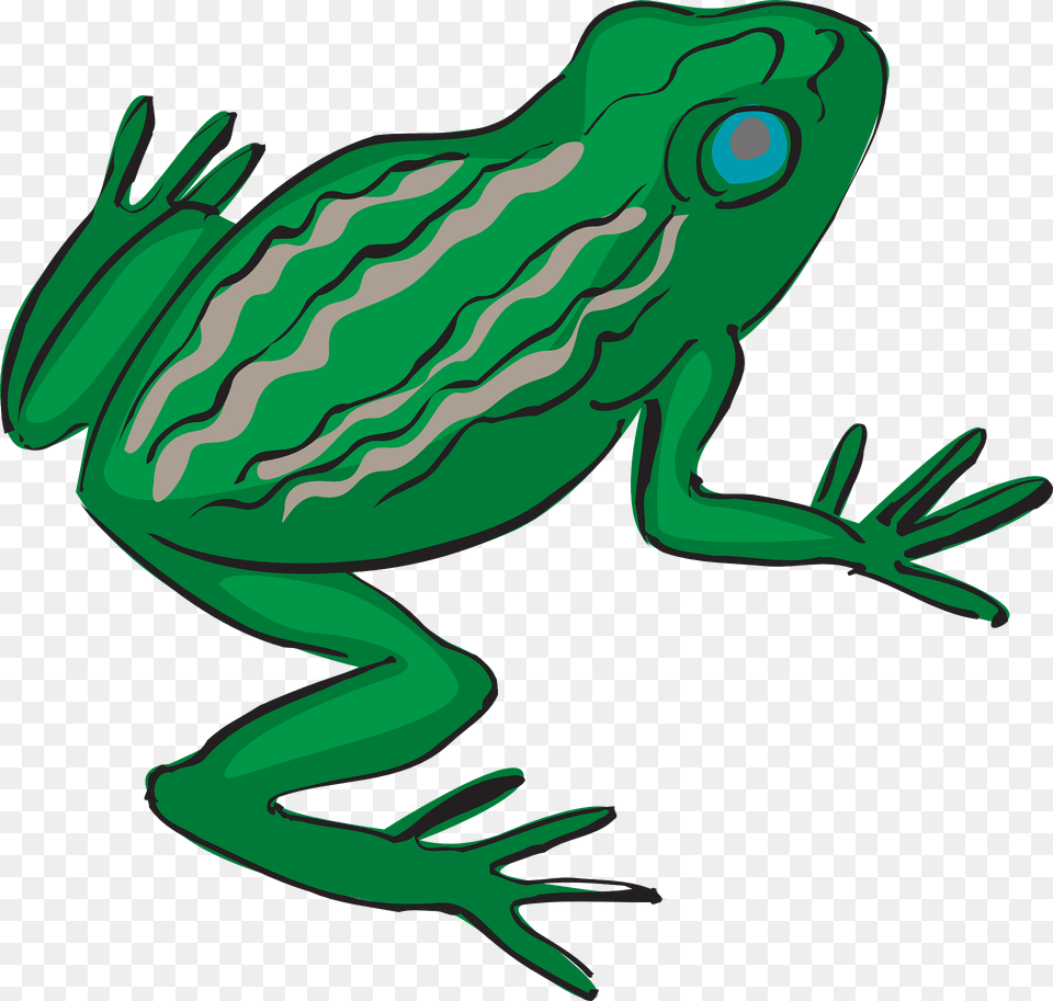 Drawn Frog Clipart, Amphibian, Animal, Wildlife, Fish Png Image