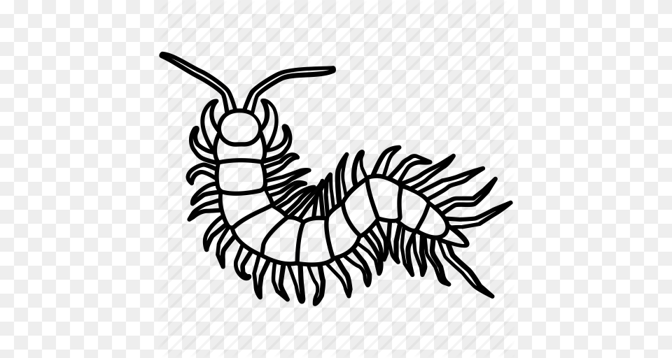 Drawn Glitch Arthropod, Animal Png