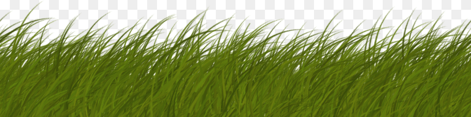 Drawn Grass Transparent Grass Texture Side View, Green, Plant, Vegetation, Lawn Free Png Download