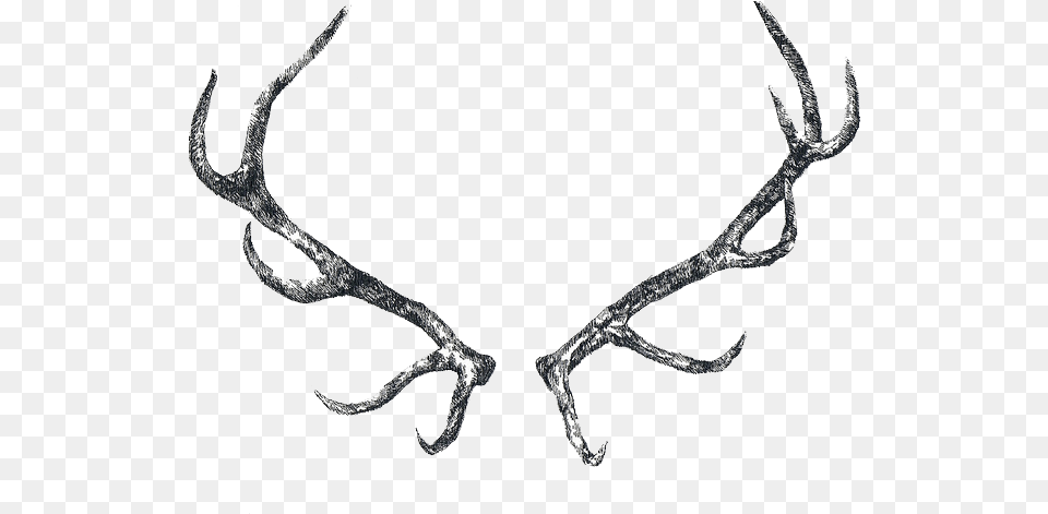 Drawn Horns Tumblr Antlers Drawing, Antler, Bow, Weapon Free Png Download