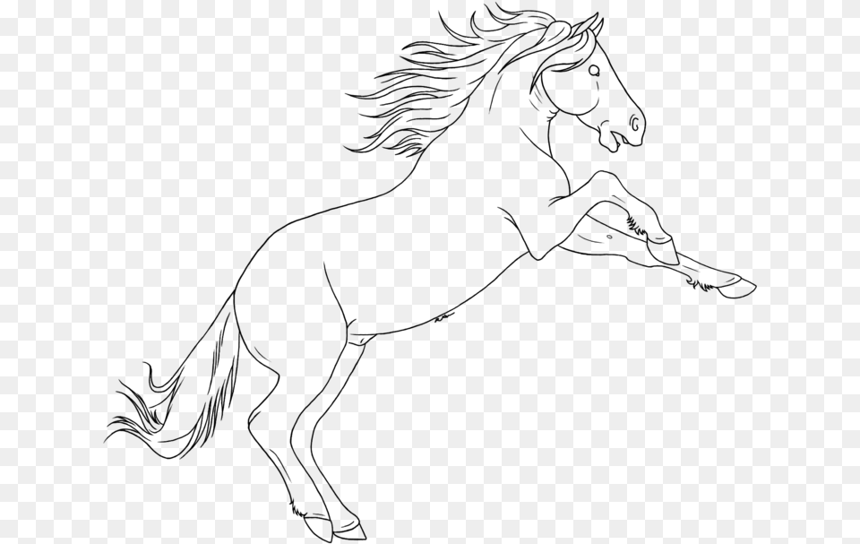 Drawn Horse Mustang Horse Mustang, Gray Free Transparent Png