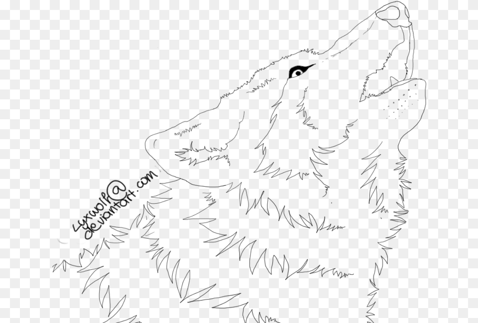 Drawn Howling Wolf Lineart, Gray Free Transparent Png