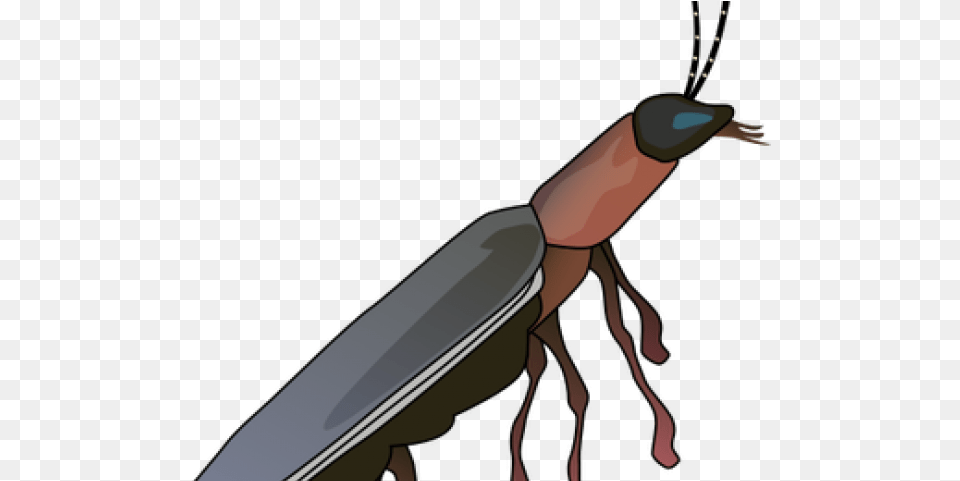 Drawn Insect Firefly Diagram Of Firefly, Animal, Invertebrate, Blade, Dagger Free Png Download